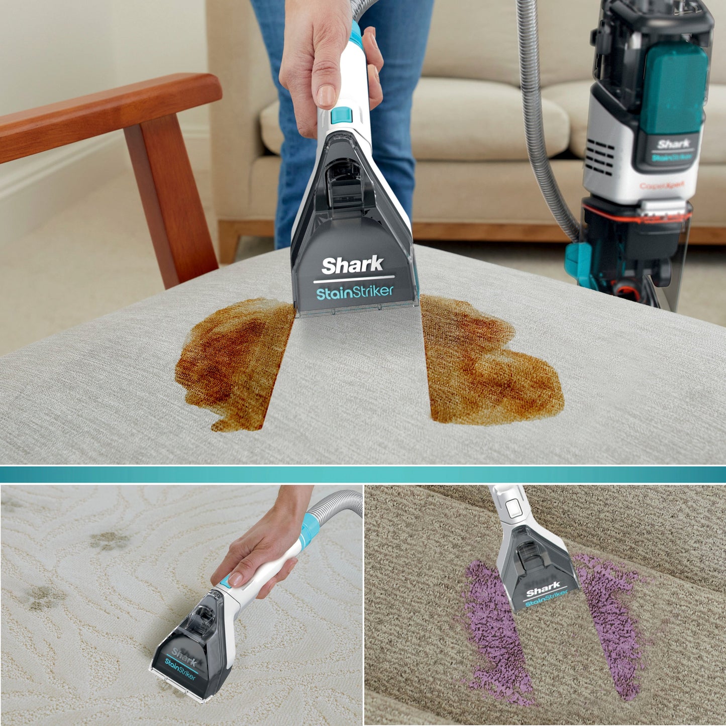 Shark CarpetXpert Deep Carpet Cleaner with Built-In StainStriker EX200UK