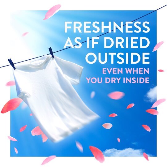 Lenor Outdoorable Pink Blossom Fabric Conditioner 55W 770Ml
