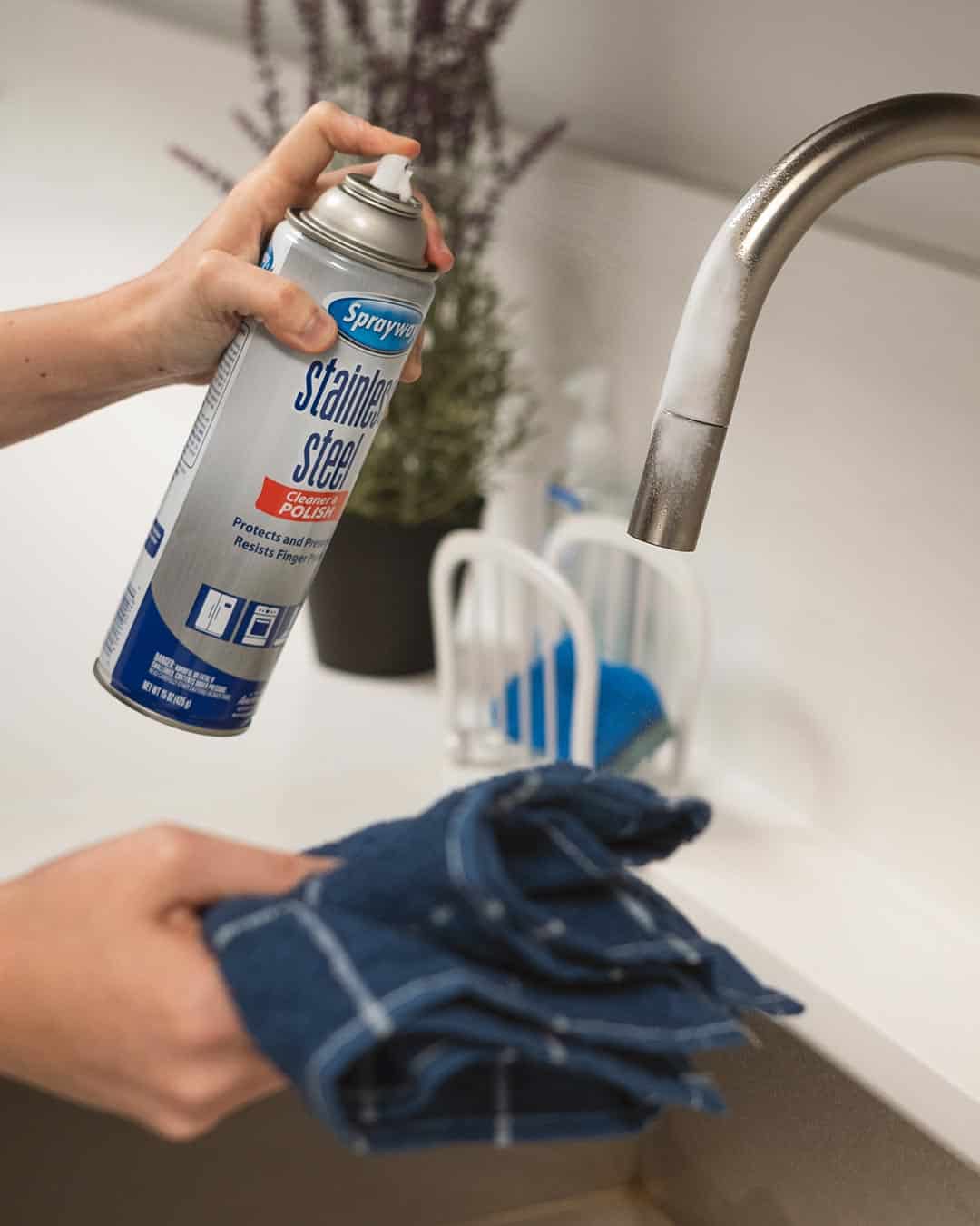 Sprayway Stainless Steel Cleaner and Polish