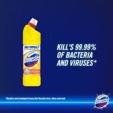 Domestos Citrus Bleach 750Ml